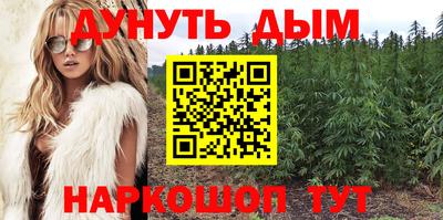 jwh Ярославль