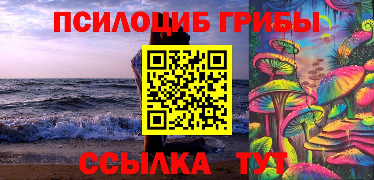 Псилоцибиновые грибы MAGIC MUSHROOMS  где купить наркоту  Братск  Вход с VPN 