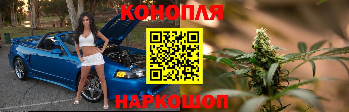 Бошки марихуана OG Kush  Бошки Шишки конопля  Братск  Вход с VPN  Канабис конопля 
